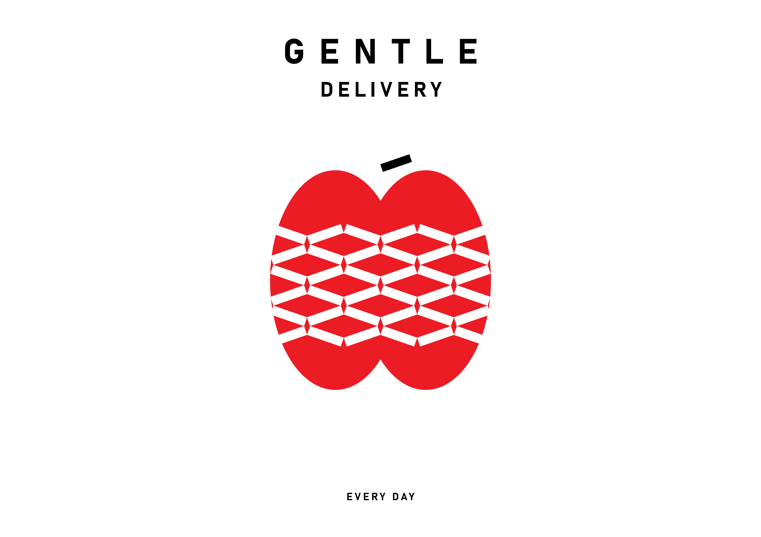 Student Branding Concept for a Gentle Delivery Brand