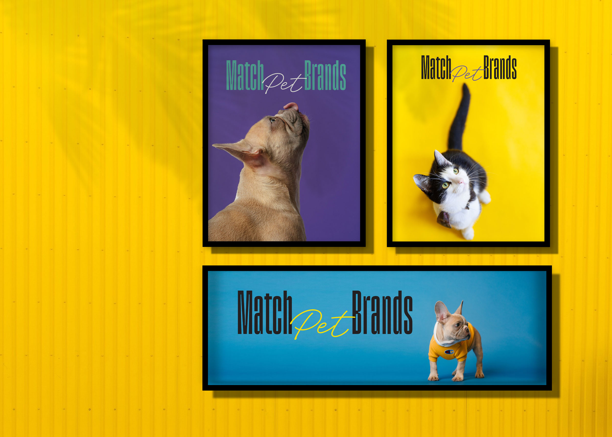 Match Pet Brands, and its new Vibrant and Playful Branding by CreativeByDefinition