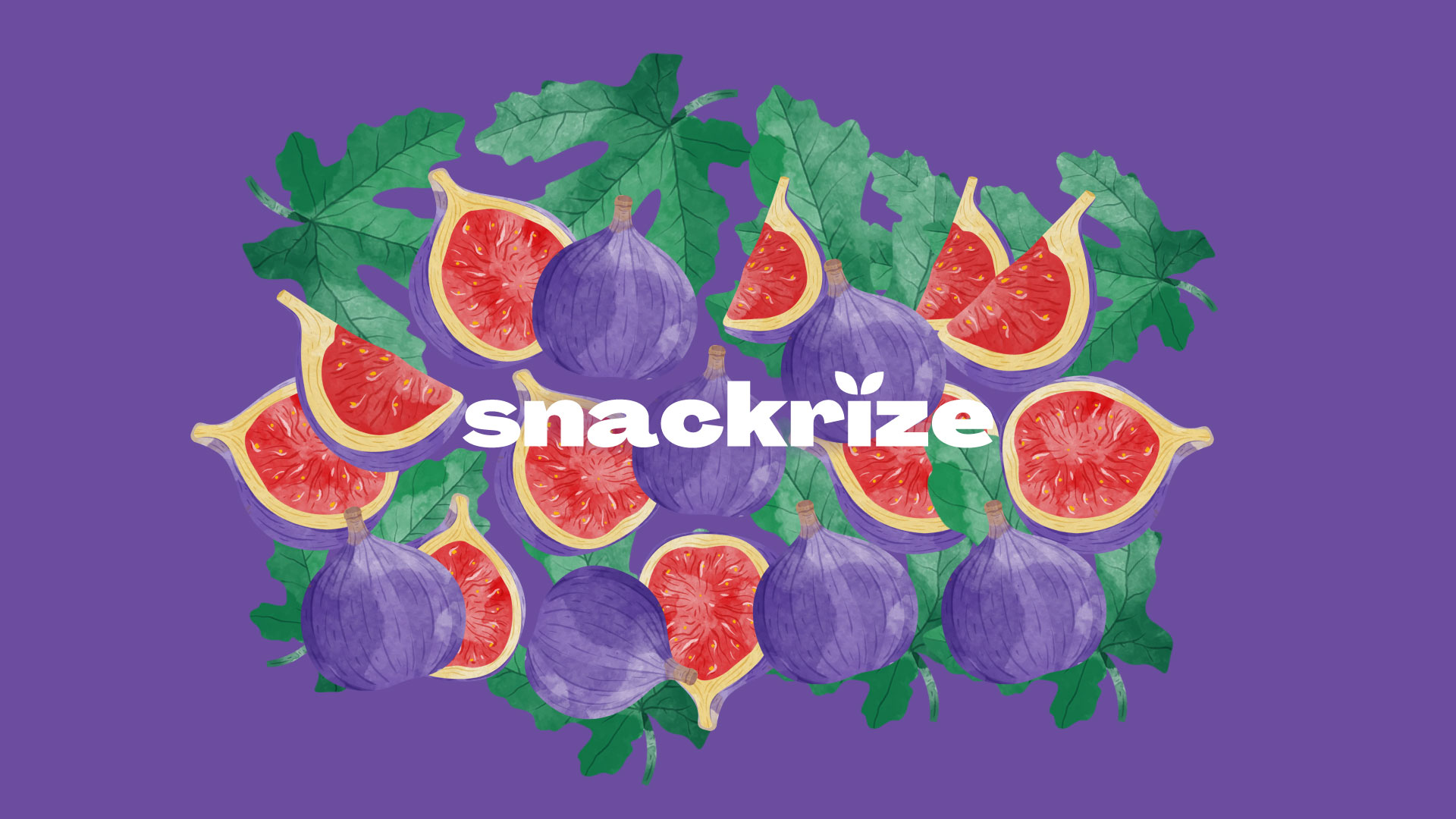 Magenta Creative Elevates Snackrize Dried Fruits Packaging Design with Vibrant Illustrations