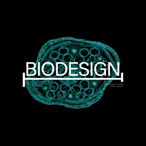 Exploring Biodesign: Where Art Meets Microbiology for Creative Innovation by Student Derick