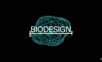 Exploring Biodesign: Where Art Meets Microbiology for Creative Innovation by Student Derick