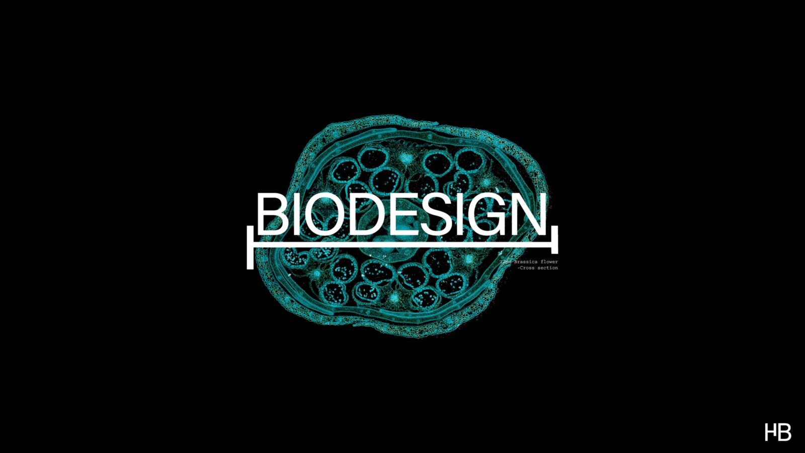 Exploring Biodesign: Where Art Meets Microbiology for Creative Innovation by Student Derick