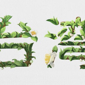 BiBiBiBi! Taiwan: Meng Chih Chiang’s Creative Typography Brings Taiwan’s Natural Beauty to Keikyu Trains in Japan