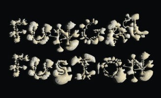 Exploring Biomimicry in Visual Design: Student Stella Li’s Fungal Fusion Experiments with Mycelium and Typefaces