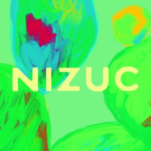 The Morris Project Creates Vibrant Brand Identity for Nizuc