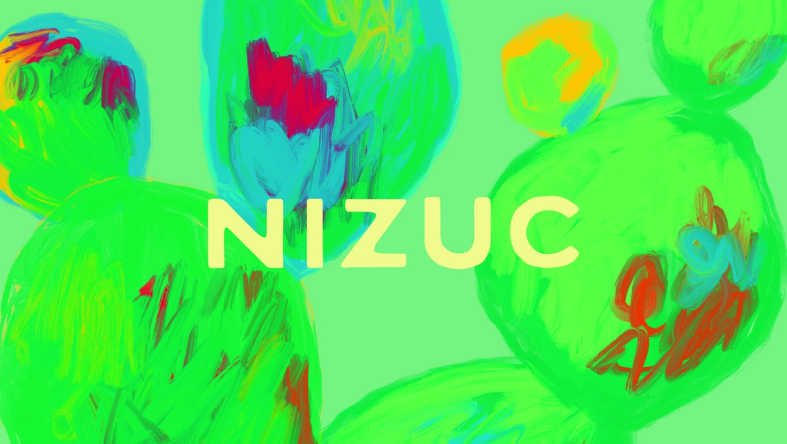 The Morris Project Creates Vibrant Brand Identity for Nizuc