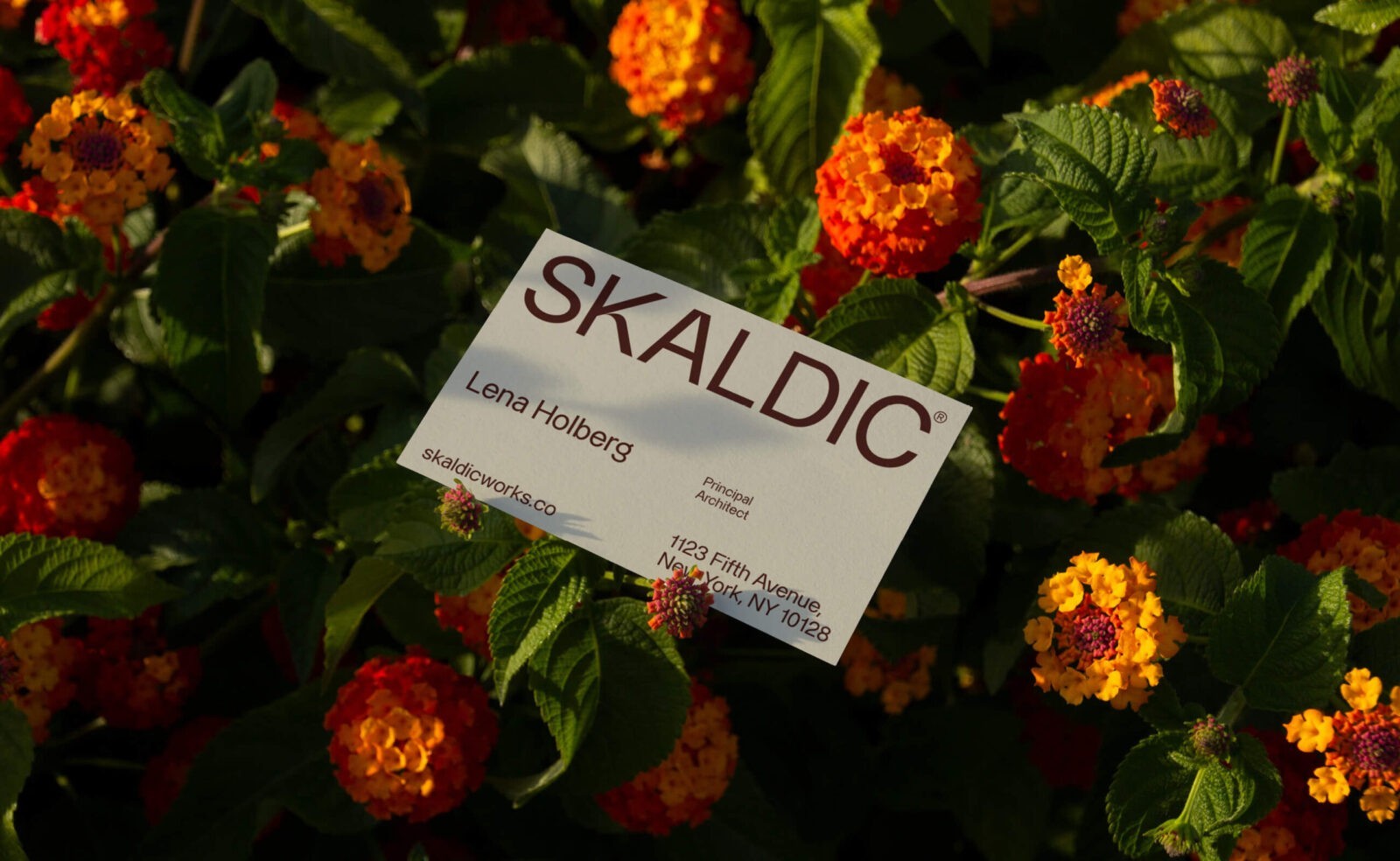 Geovanie Radcliffe Creates Skaldic Architecture Brand Identity