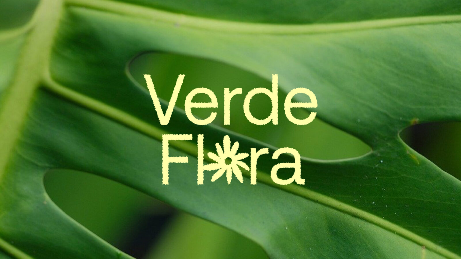 Youbin Lee Designs VerdeFlora’s Vibrant Identity for Eco-Friendly Gardeners Worldwide