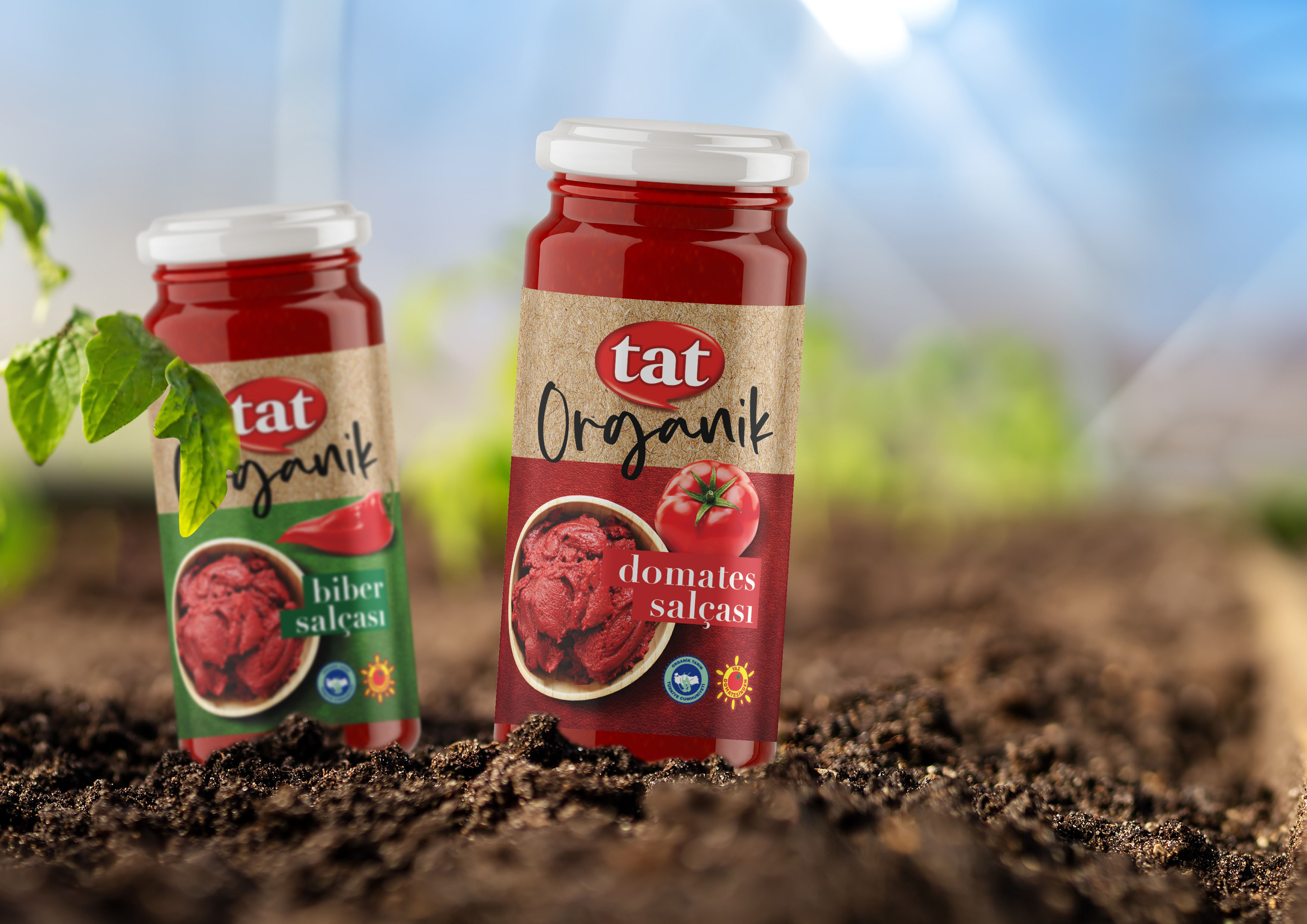 Tat Organic Packaging Design by B12 Creative