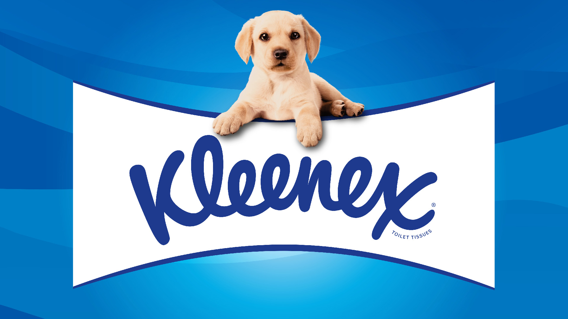 Kleenex Launches New Packaging Designed by Hulsbosch