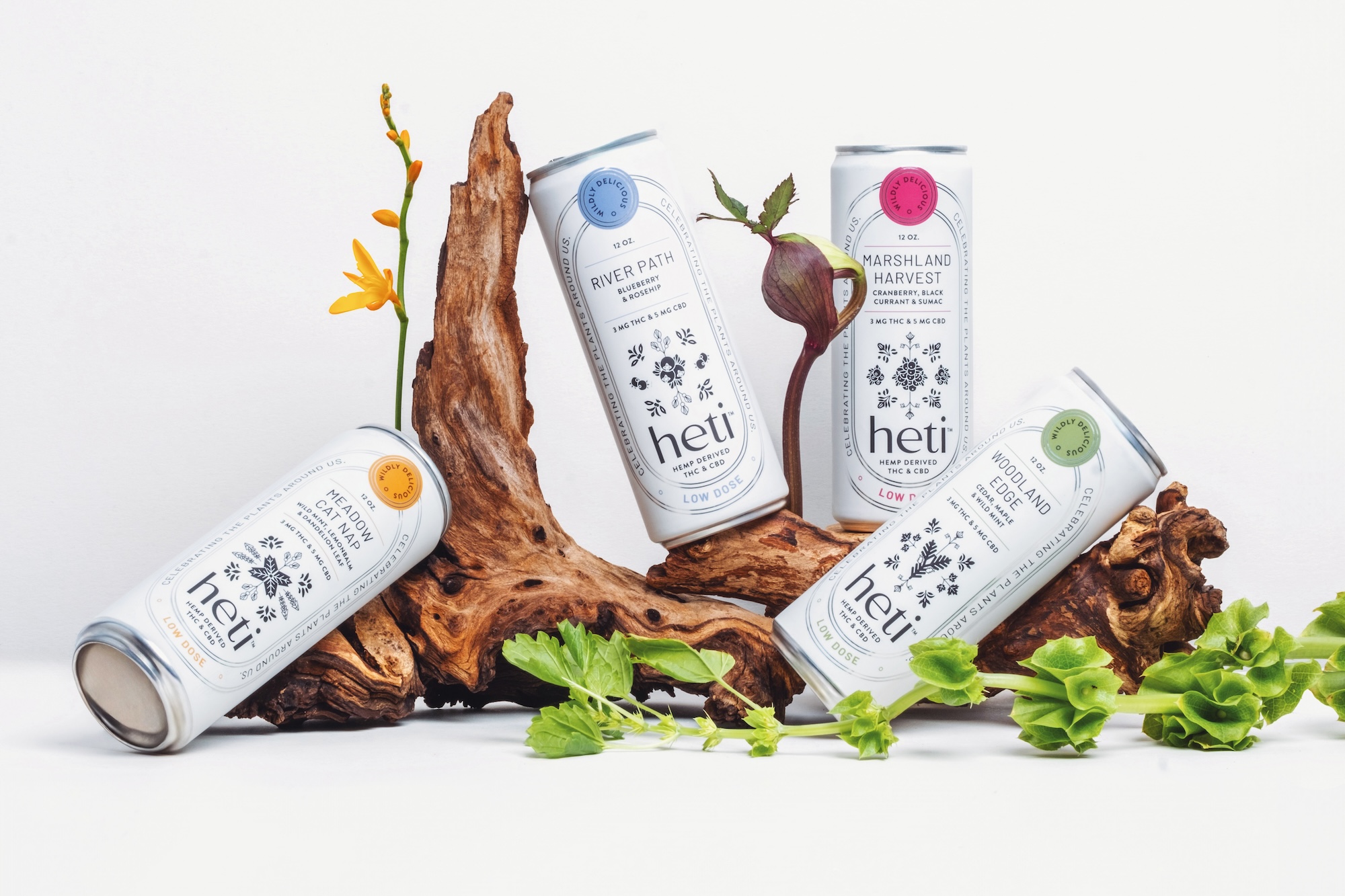 Cansu Dagbagli Ferreira Designs Indigenous Inspired Drink Brand for Celebrating the Plants Native to America