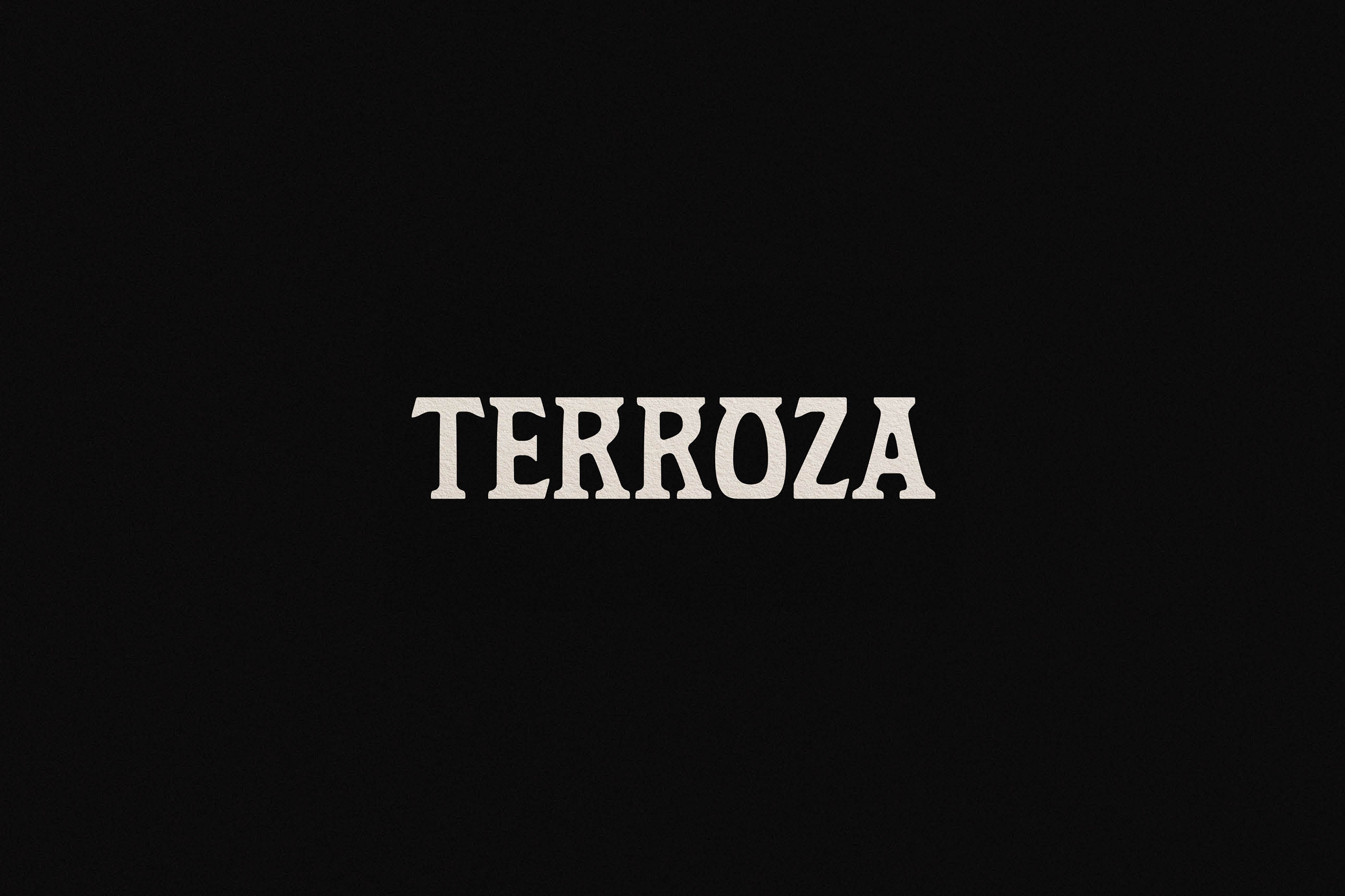 Terroza Brand Identity and Editorial Design by Md. Ariful Islam