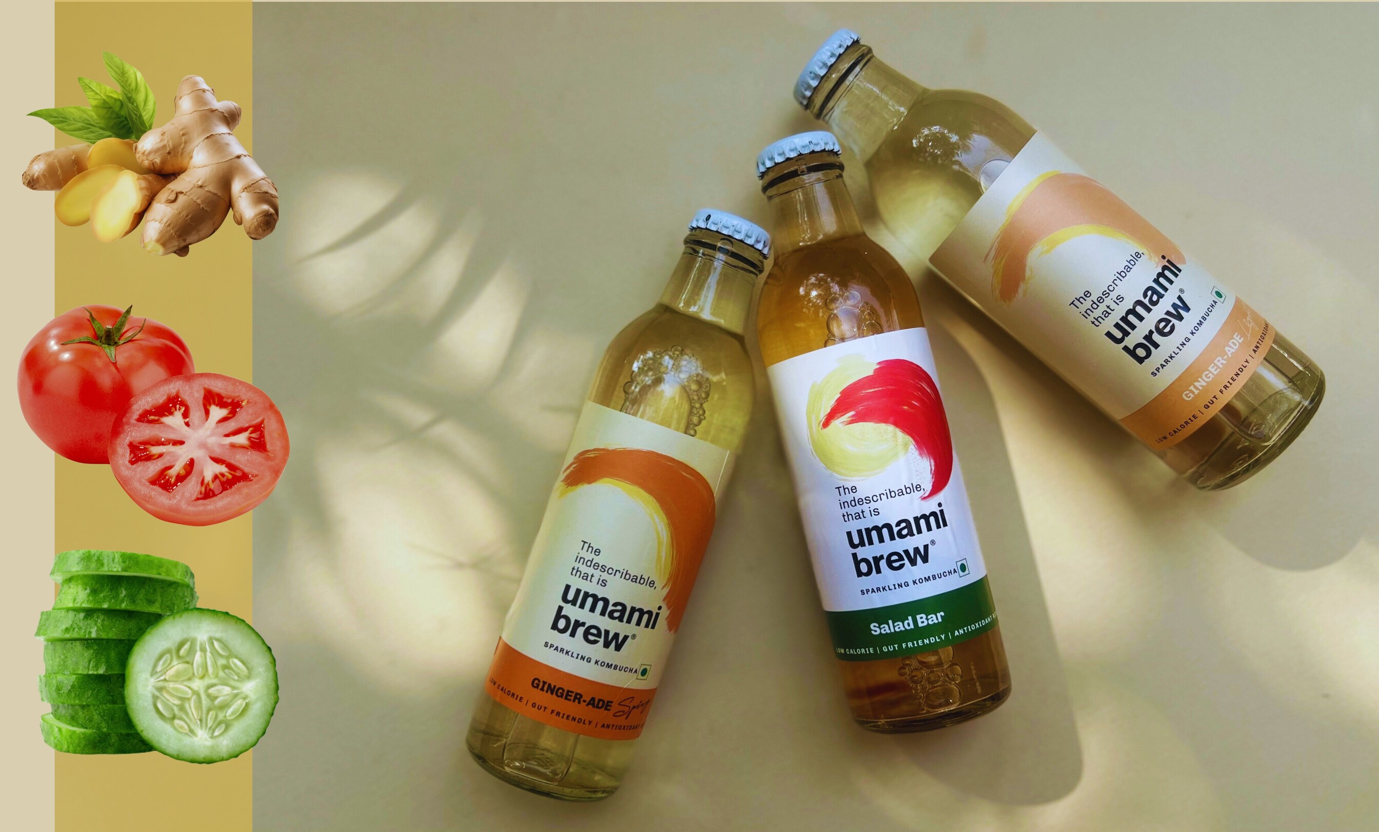 Go Do Good Studio Reinvents Eco Gifting with the Umami Brew Sustainable PR Box