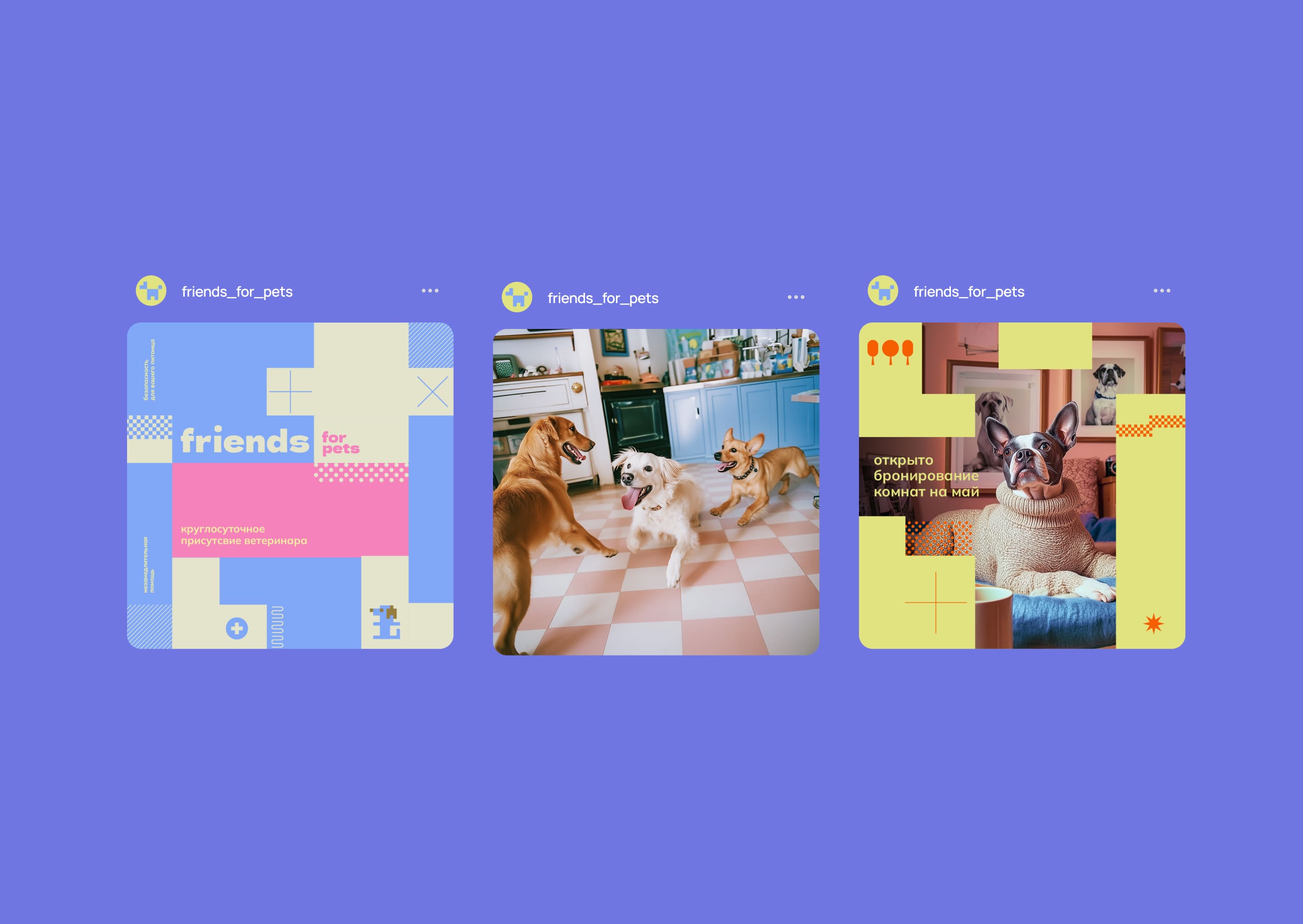 Student Branding for Hotel for Dogs “Friends for Pets” by Tatiana Myravyova