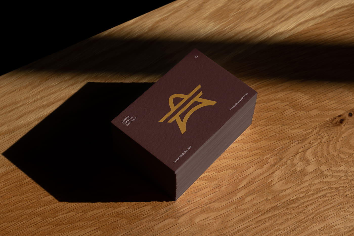 Brand Identity System for Black Star Summit by Mercury
