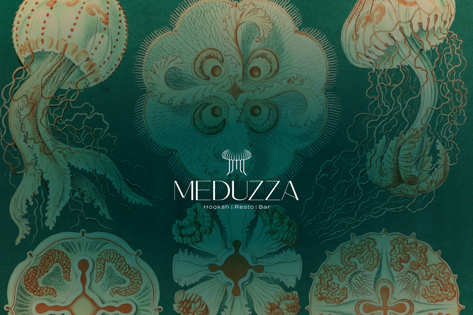 Meduzza Lounge Bar Brand Identity by Hypnotica