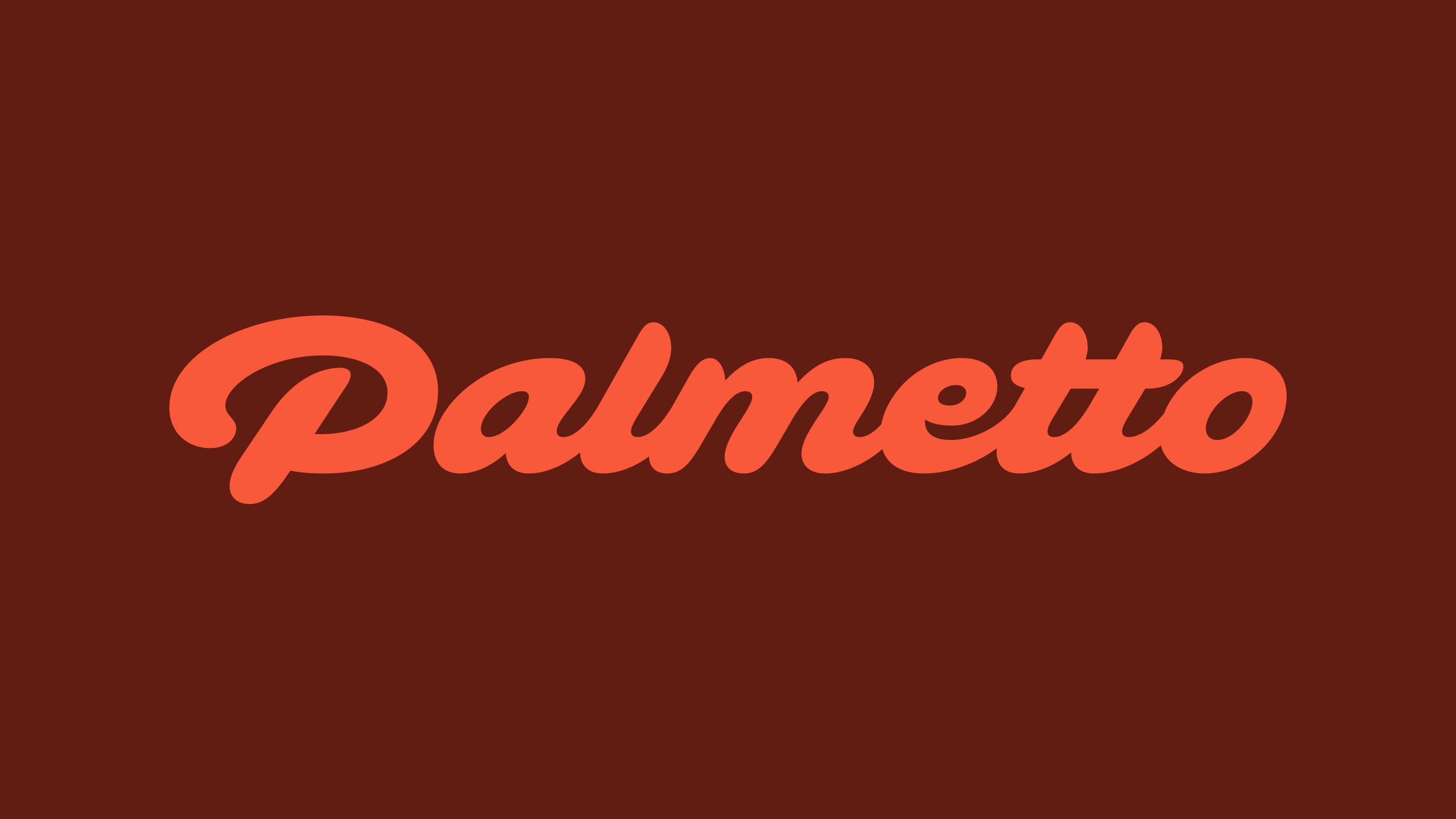 Ragged Edge Rebrands Palmetto as the Home Energy Marketplace Making Clean Energy Irresistible