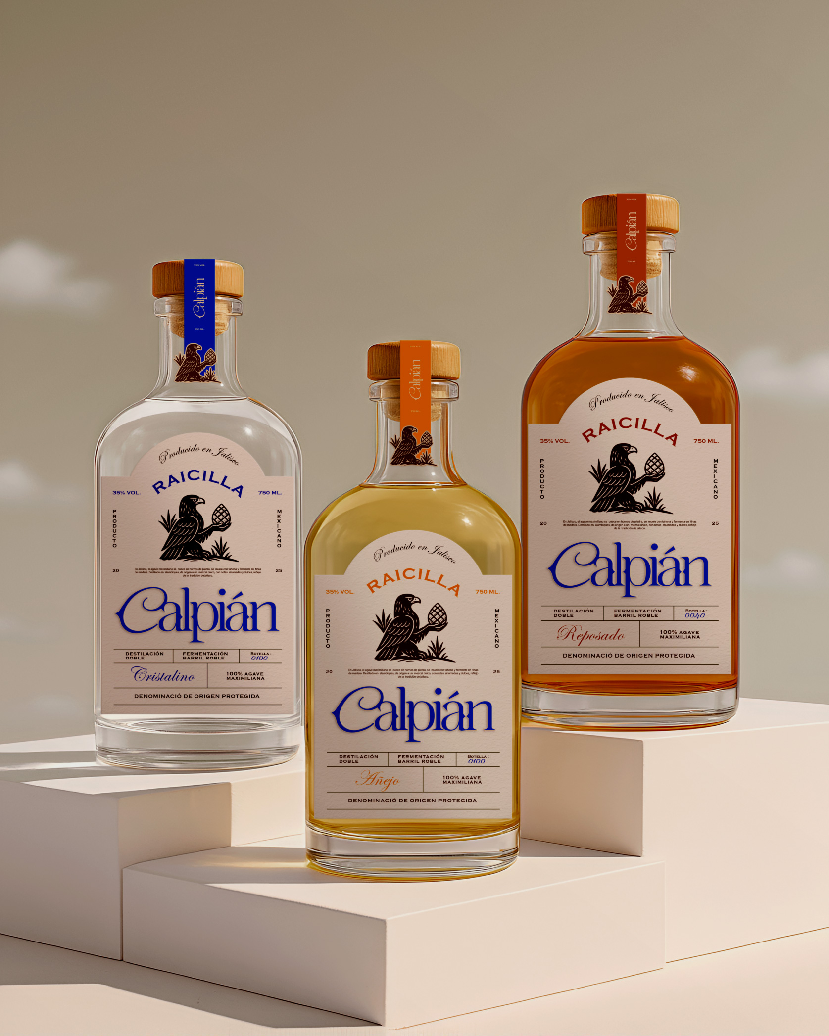 Rapso Studio Elevates Raicilla With Design Rooted in Tradition and Strategic Positioning