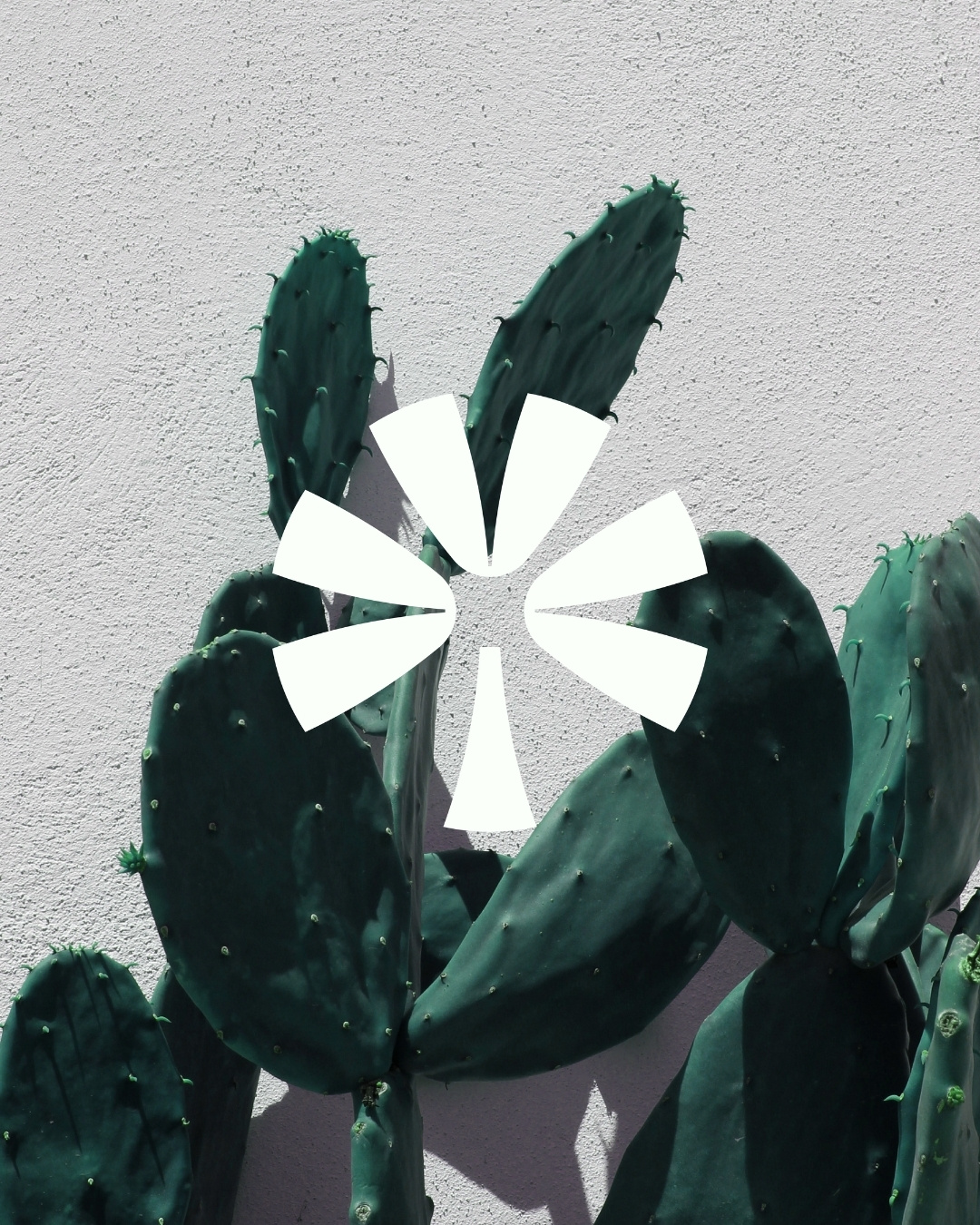 Business Garden: Where Ideas Take Root and Grow