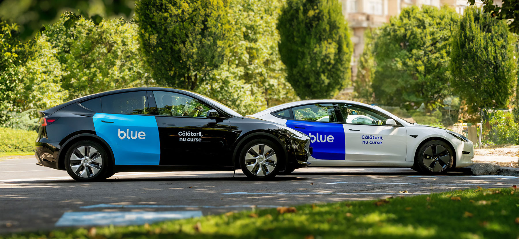 BroHouse Transforms Blue into a Ride-Hailing Brand with Purpose