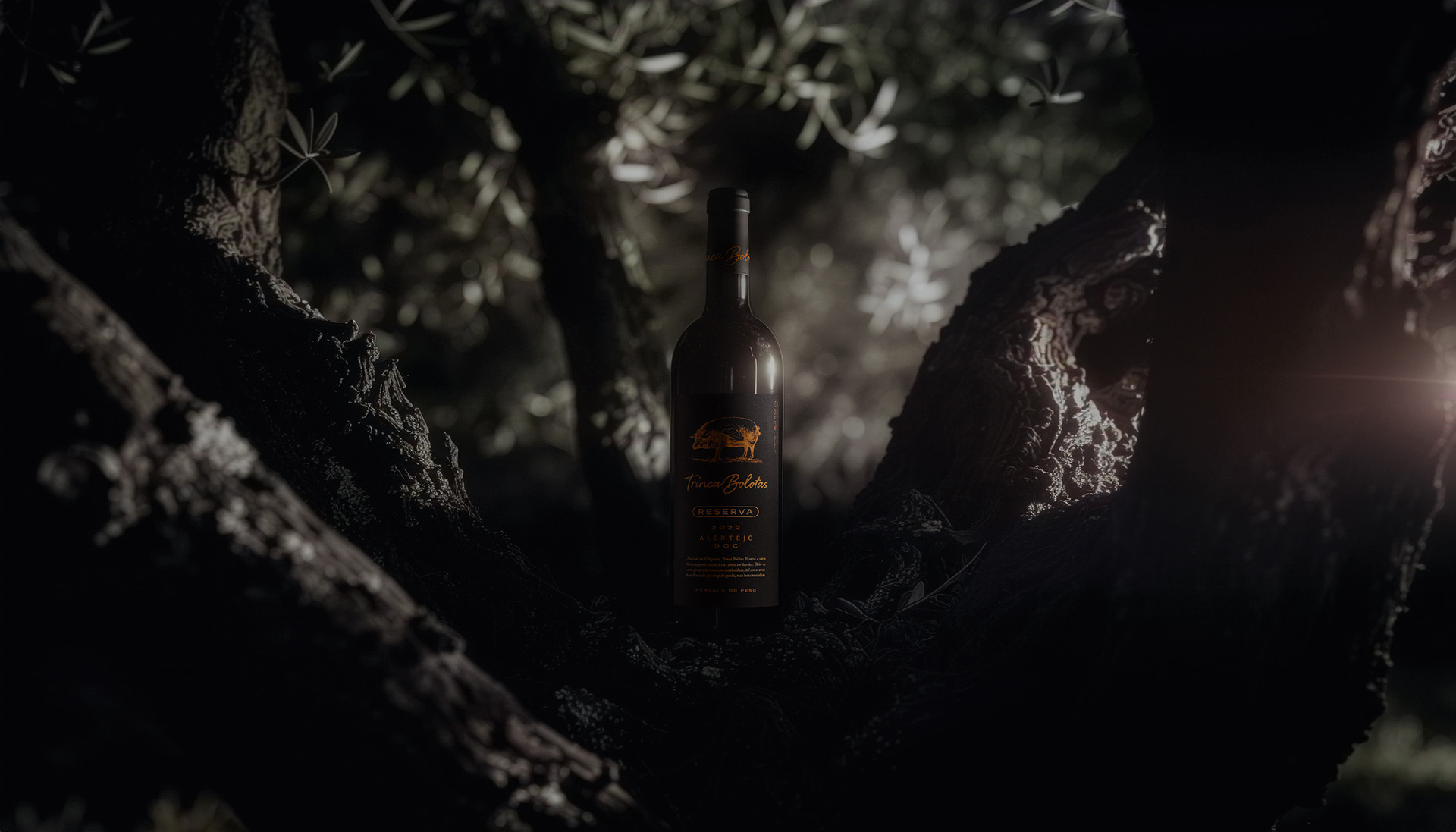 Volta Studio Elevates Trinca Bolotas Reserva with a Refined Evolution of a Portuguese Classic