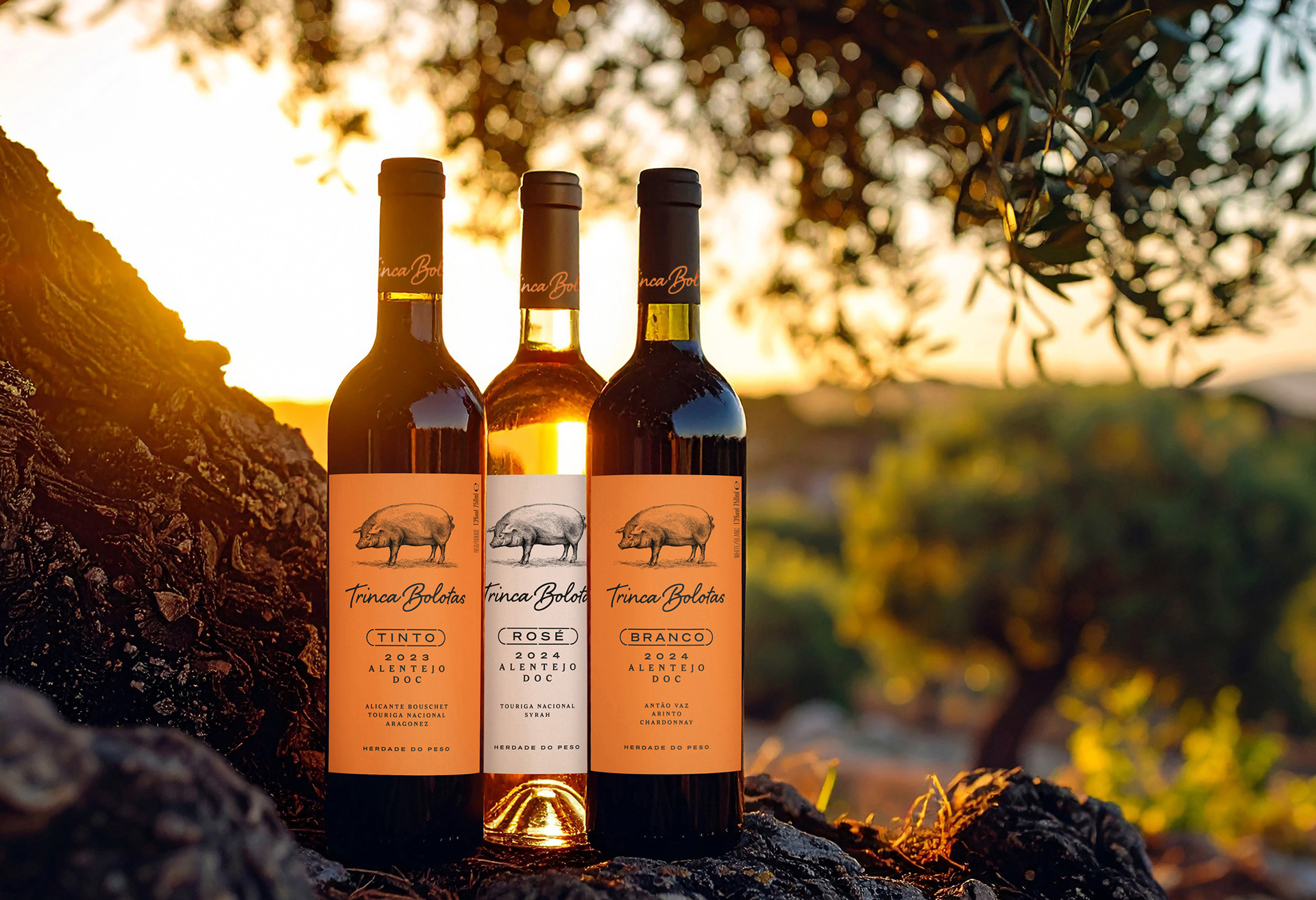 Volta Redefines Trinca Bolotas with a Modern Take on Portuguese Tradition