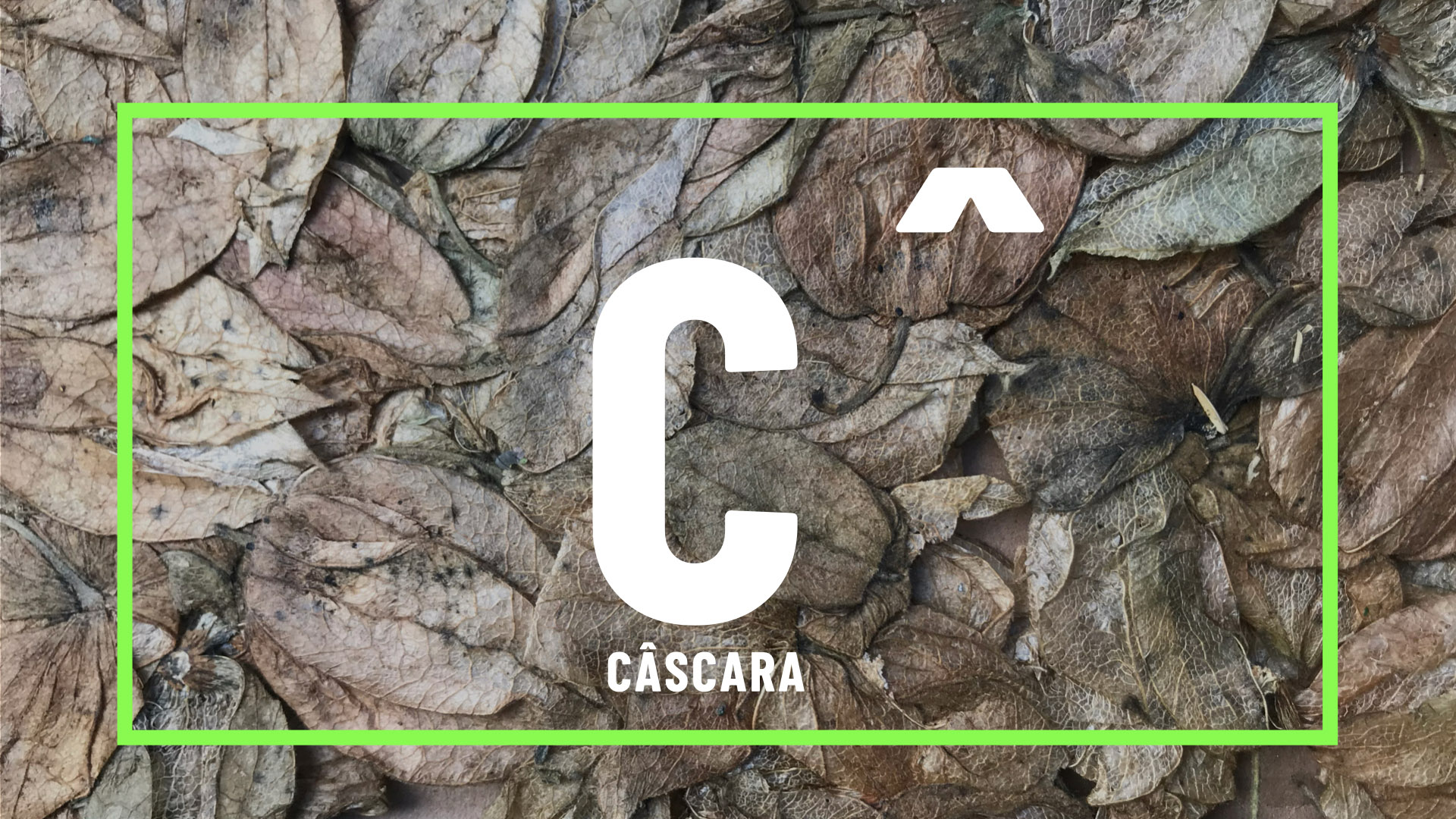 Cáscara Tech Redefines Sustainable Packaging Innovation Through Design by Arutza Estudio