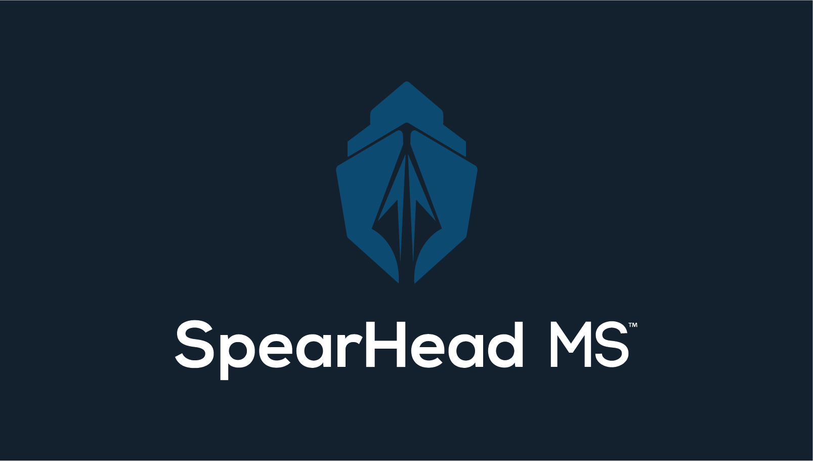 SpearHead MS: Brand Identity and Strategic Design by Kostis Keritis