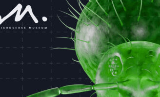 Anastasia Beketova Presents Microverse Museum as a Living Experience of the Invisible World