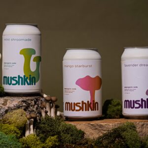 Student Evee Grant Designs Mushkin to Bring Lightness and Balance to Functional Beverages