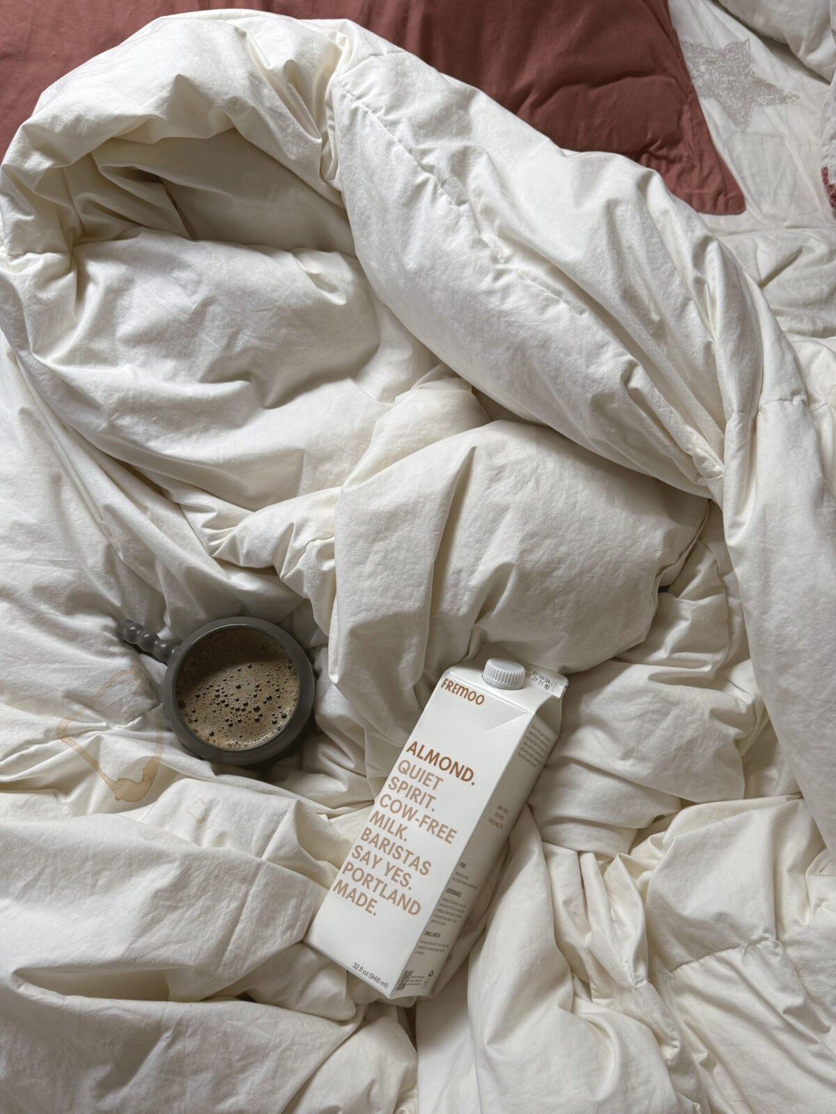 Student Kristina Anastasidi Designs Fremoo as a Quietly Rebellious Dairy-Free Milk and Ice Cream Brand