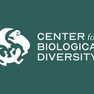 Student Anna Barnett Redesigns the Center for Biological Diversity to Make Conservation Personal