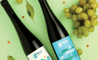 Vera Kovács Shapes Patányi Winery With a Minimal Identity Rooted in Badacsony