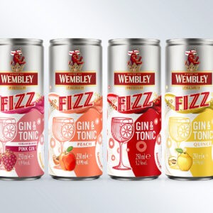 Brand Hatch Creative Launches Wembley Fizz Gin and Tonic With a Vibrant RTD Brand Identity
