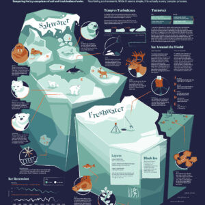 Tacey Grant Visualizes Fragile Water Worlds Through the Icy Ecosystems Poster