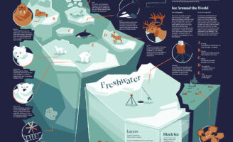 Tacey Grant Visualizes Fragile Water Worlds Through the Icy Ecosystems Poster