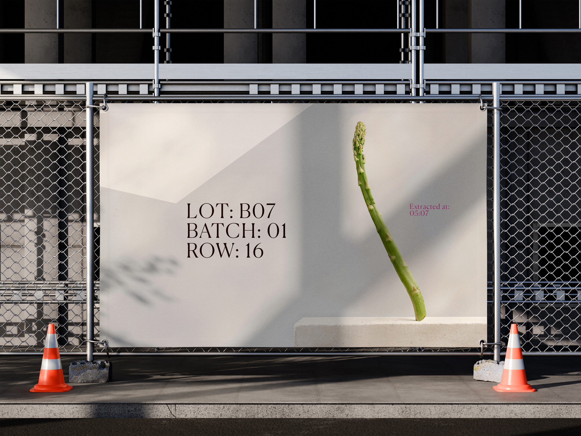 Lăstar Asparagus Harvest Branding System by Flavia Achim Replaces Freshness Claims With Recorded Harvest Data