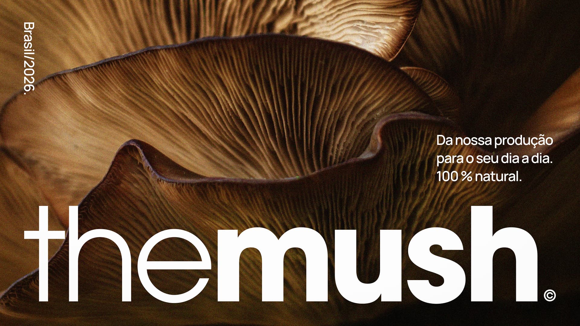 Miguel Munis Shapes The Mush into a Premium Functional Mushroom Brand for Daily Rituals