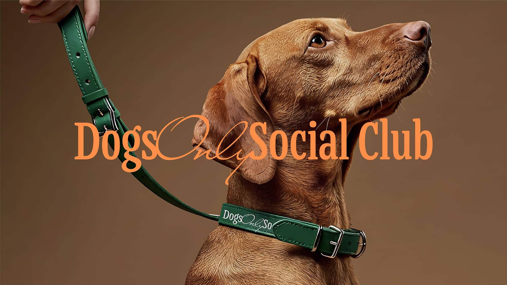 Supatida Sutiratana Shapes Dogs Only Social Club into a Playful Brand for Dog-Loving Communities