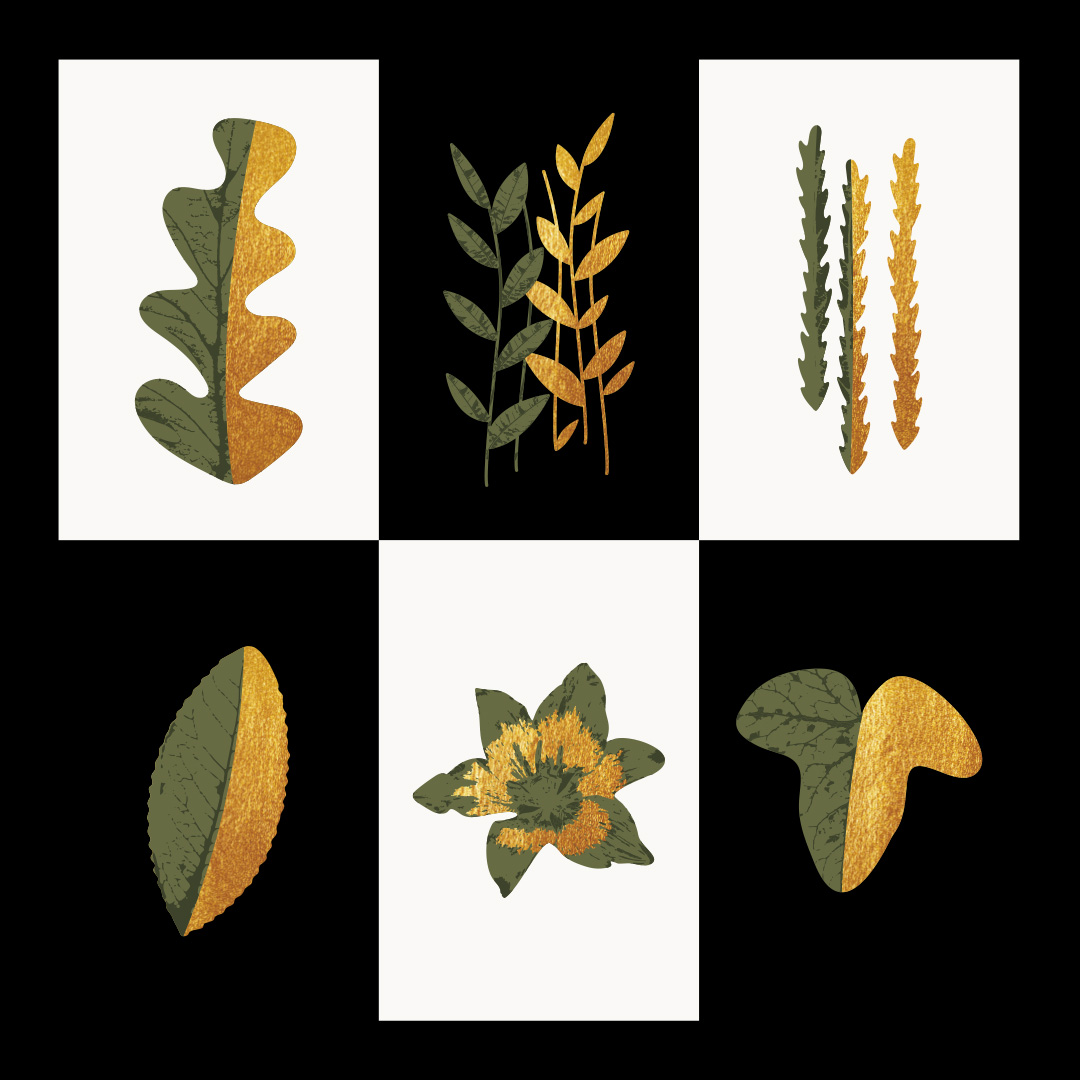 Packaging for Ameliamyway Honey. 6 Labels for a Premium Organic Honey, Selected From Mountain Kissavos in Greece