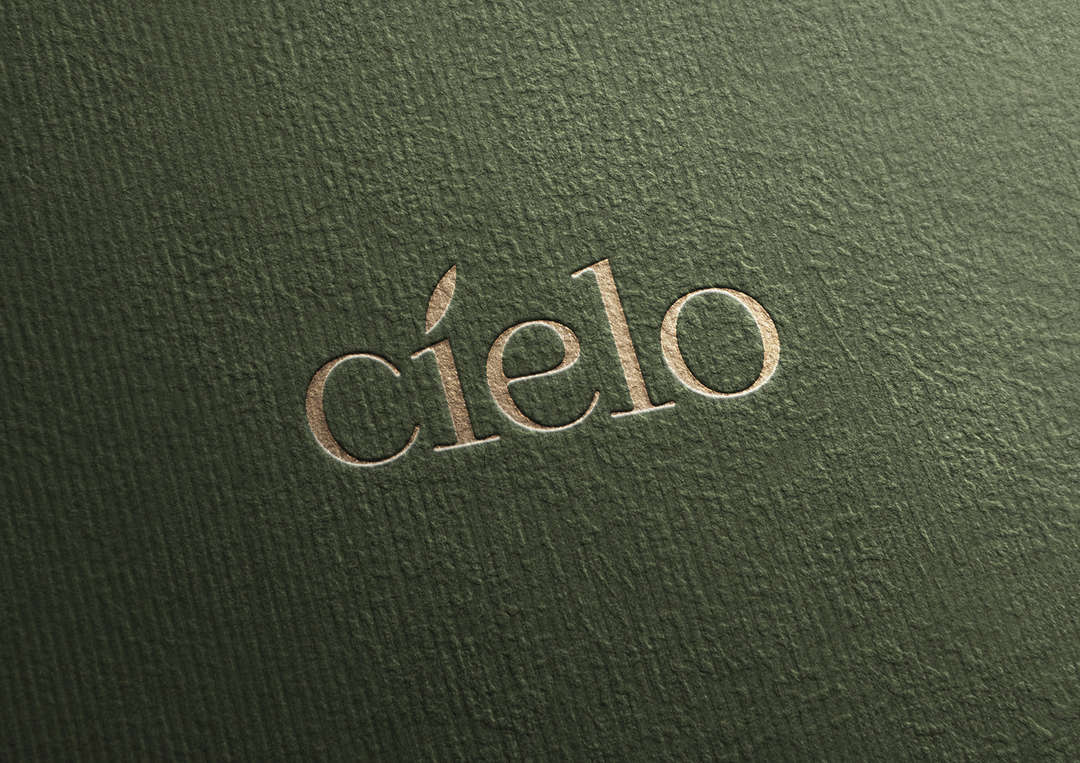 B12 Creative Branding Redefines Cielo Olive Oil with Premium Packaging Design