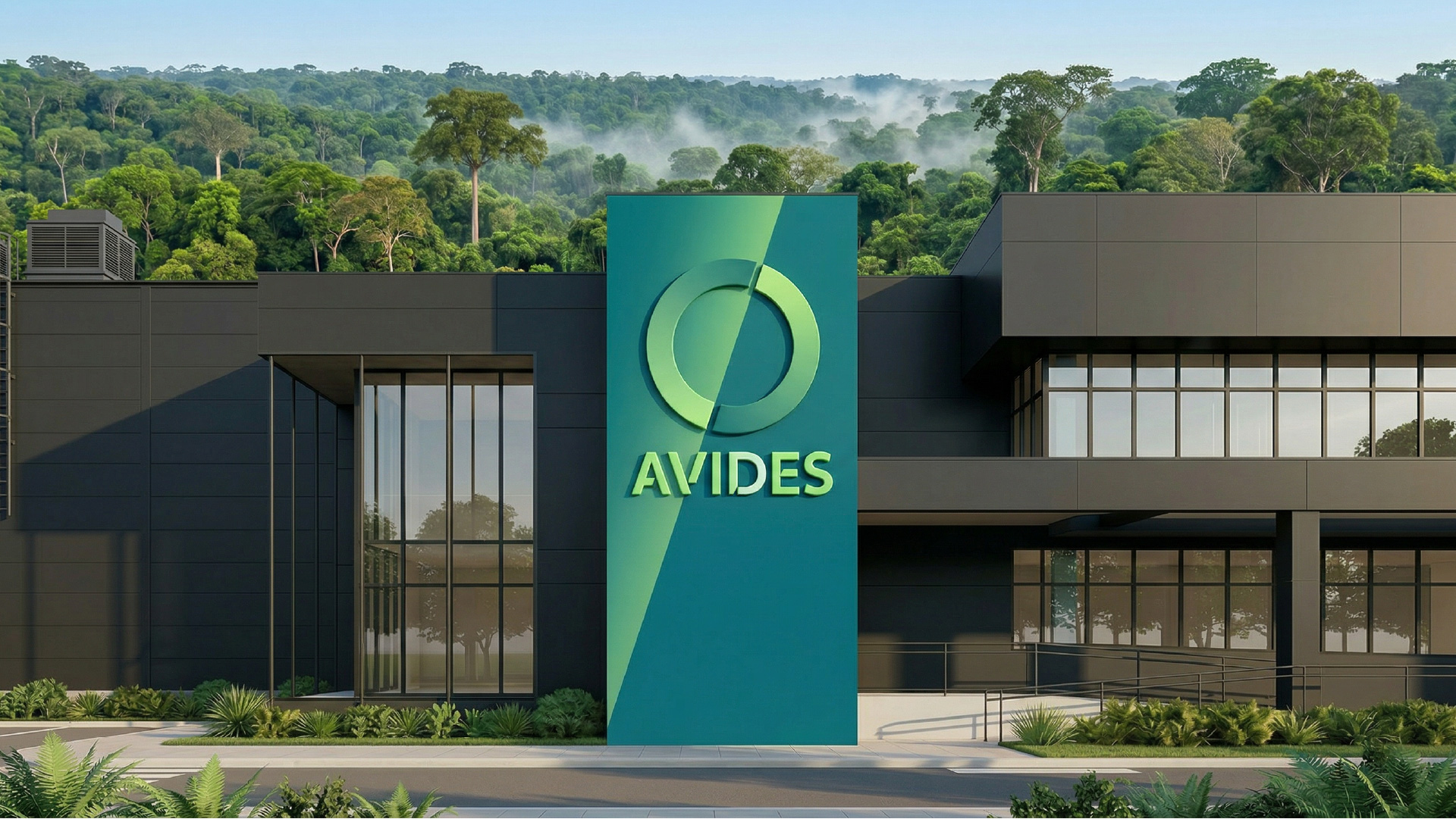 Avides, a Company Made by Wood and Sustainability by Igor Sá Fortes