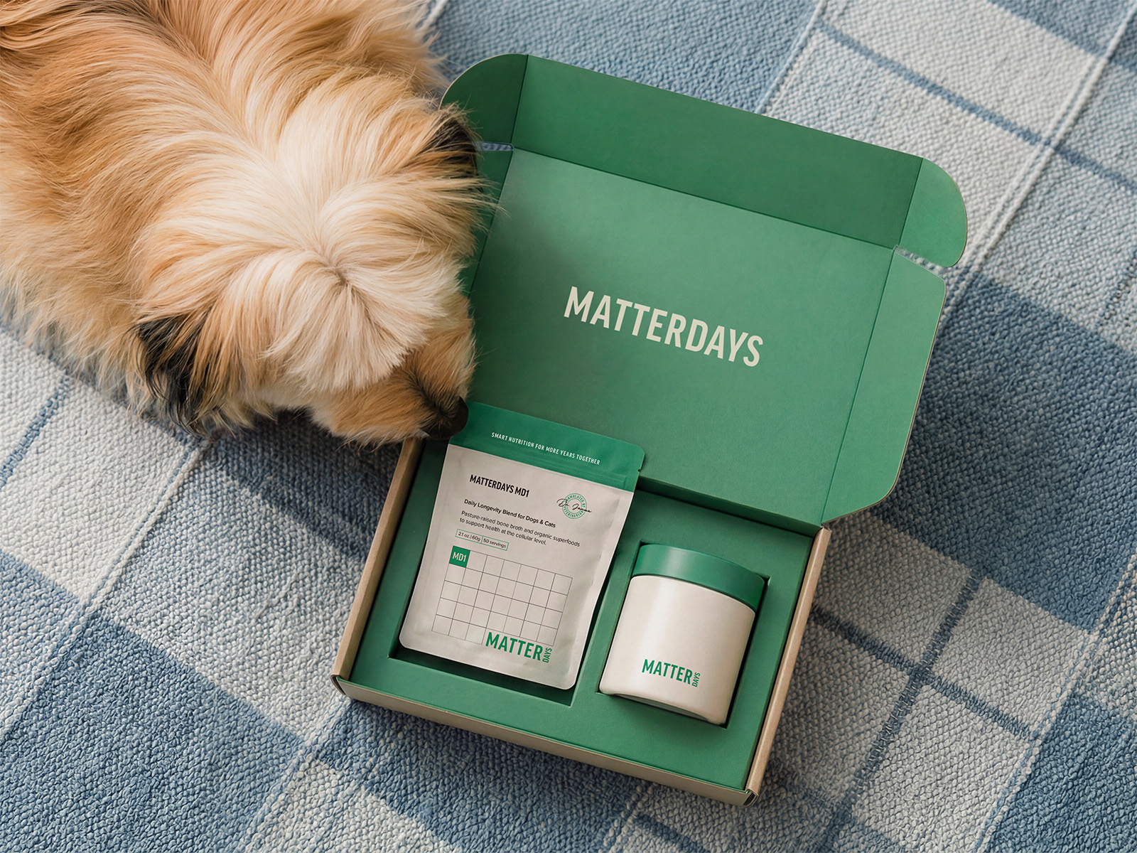 Gamze Binici Develops Matterdays Pet Wellness Supplements as a Calendar Driven Packaging System Encouraging Daily Care Rituals