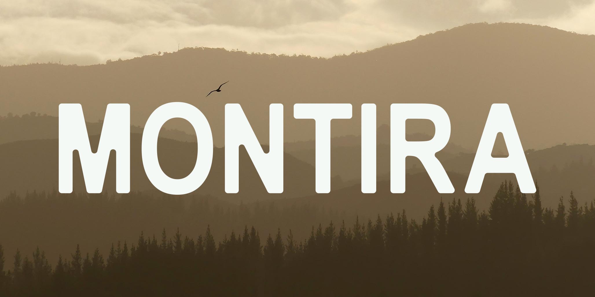 Montira Gin Packaging Design by Percept Brand Design Agency Captures South Island Heritage Through a Distinctive Visual Identity